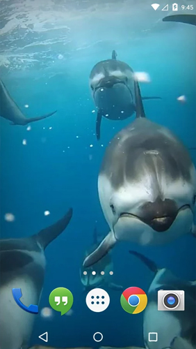 Fondos de pantalla animados a Ocean 3D: Dolphin para Android. Descarga gratuita fondos de pantalla animados Océano 3D: Delfines.