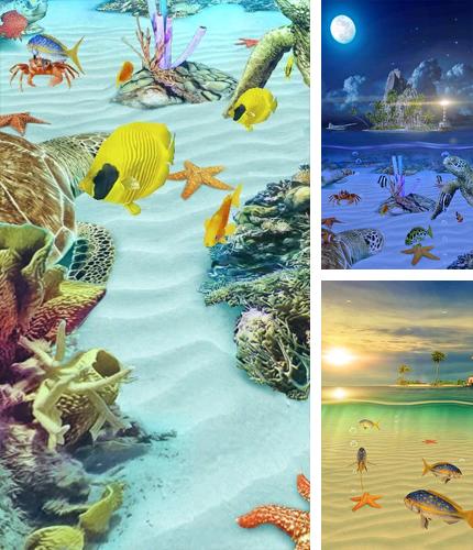 Descarga gratuita fondos de pantalla animados Ocean Aquarium 3D: Isla de la tortuga  para Android. Consigue la versión completa de la aplicación apk de Ocean Aquarium 3D: Turtle Isles para tabletas y teléfonos Android.