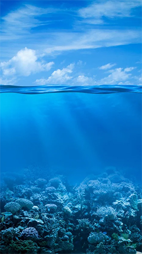 Screenshots of the Ocean by Creative Factory Wallpapers for Android tablet, phone.