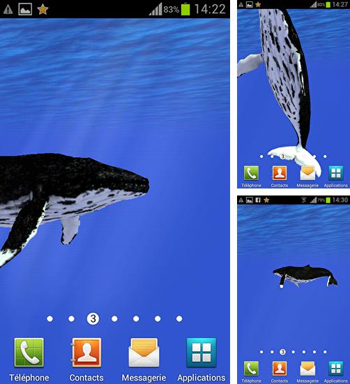 Додатково до живої шпалери Сонце і кульбаба для Android телефонів та планшетів, Ви можете також безкоштовно скачати Ocean: Whale.
