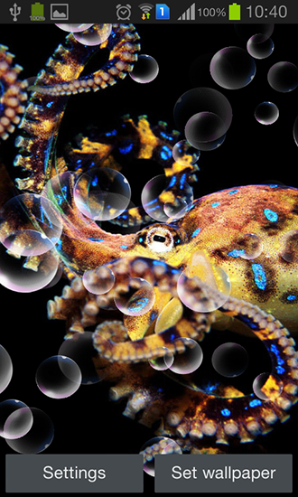 Octopus - безкоштовно скачати живі шпалери на Андроїд телефон або планшет.