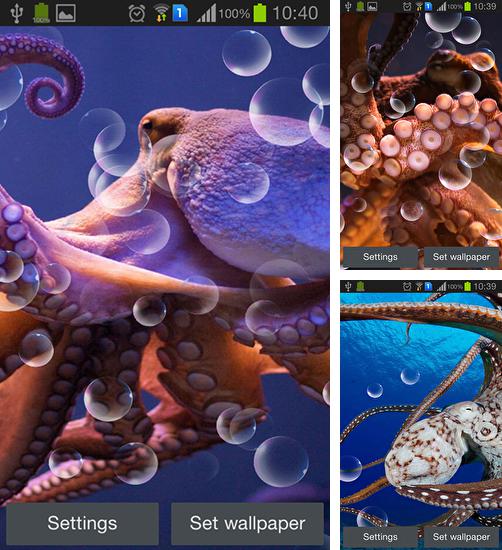 Дополнительно к живым обоям на Андроид телефоны и планшеты Сказочное место 3D, вы можете также бесплатно скачать заставку Octopus.