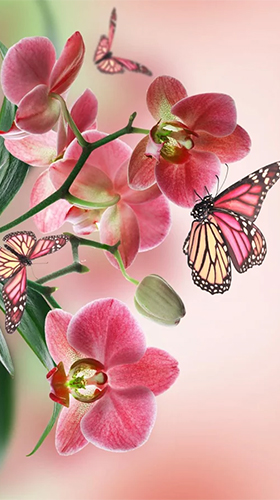 Як виглядають живі шпалери Orchid by Creative Factory Wallpapers.