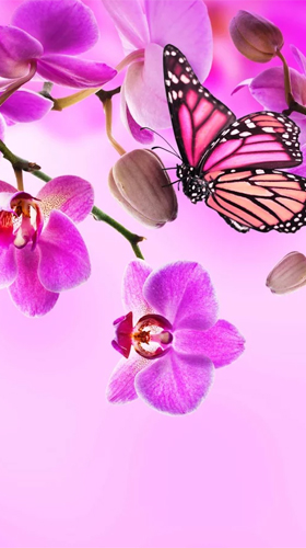 Capturas de pantalla de Orchid by Ultimate Live Wallpapers PRO para tabletas y teléfonos Android.