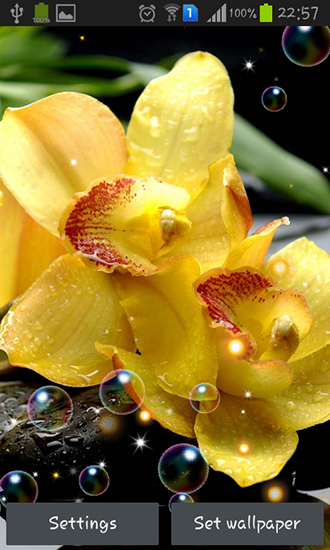 Kostenloses Android-Live Wallpaper Orchideen HD. Vollversion der Android-apk-App Orchid HD für Tablets und Telefone.