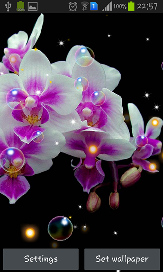玩安卓版Orchid HD。免费下载动态壁纸。