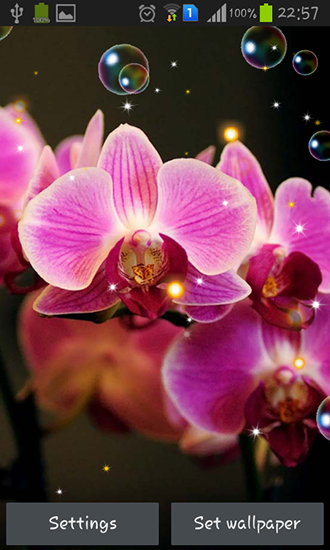 Screenshots of the Orchid HD for Android tablet, phone.