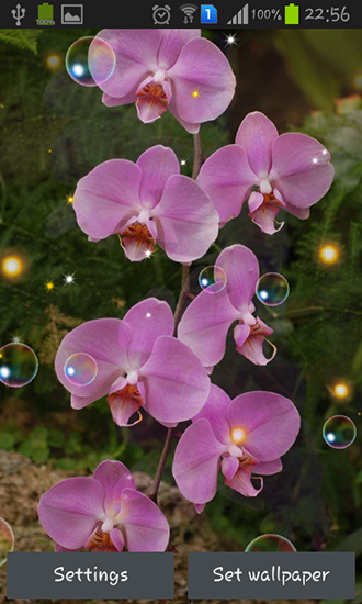 Screenshots of the Orchid HD for Android tablet, phone.