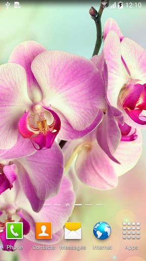Orchids für Android spielen. Live Wallpaper Orchideen kostenloser Download.