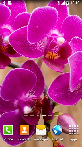 Écrans de Orchids pour tablette et téléphone Android.