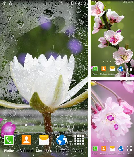 Zusätzlich zum Live Wallpaper Fallende Blätter für Android Mobiltelefone und Tablets, können Sie auch Oriental, Oriental kostenlos herunterladen.