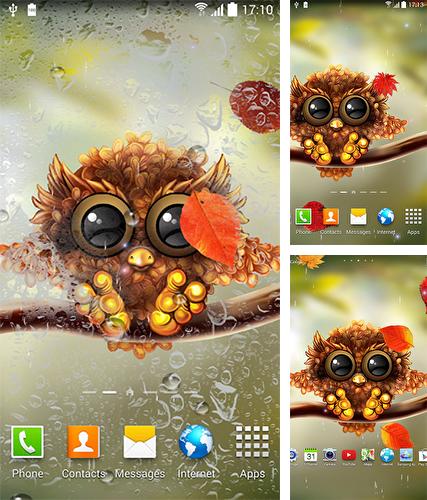 Owl by Live Wallpapers 3D