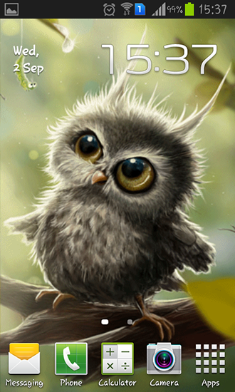 Owl chick - бесплатно скачать живые обои на Андроид телефон или планшет.