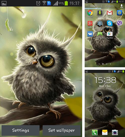 Zusätzlich zum Live Wallpaper Stern im Himmel für Android Mobiltelefone und Tablets, können Sie auch Owl chick, Eulenküken kostenlos herunterladen.