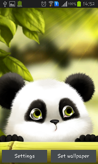 Panda - безкоштовно скачати живі шпалери на Андроїд телефон або планшет.