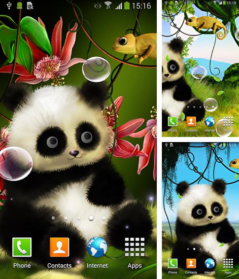 Додатково до живої шпалери Шампанське для Android телефонів та планшетів, Ви можете також безкоштовно скачати Panda by Live wallpapers 3D.