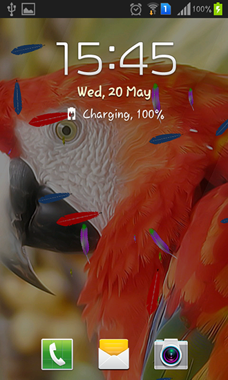 Скриншот Parrot by TTR. Скачать живые обои на Андроид планшеты и телефоны.