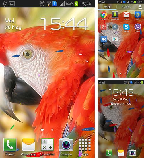 Kostenloses Android-Live Wallpaper Papagai. Vollversion der Android-apk-App Parrot by TTR für Tablets und Telefone.