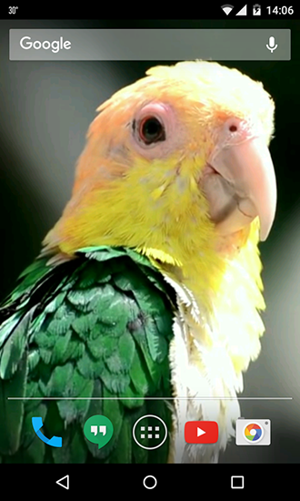 Screenshots of the Parrots for Android tablet, phone.