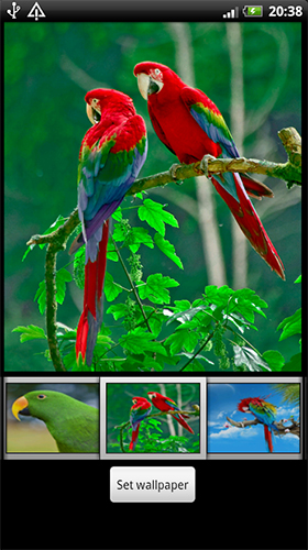 Screenshots of the Parrots HD for Android tablet, phone.