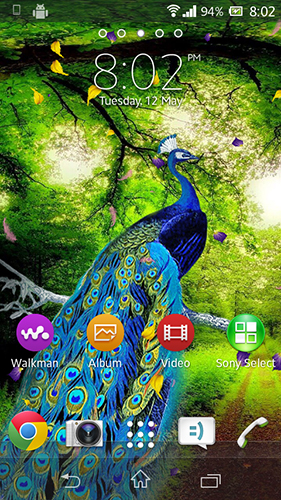 Скриншот Peacock by AdSoftech. Скачать живые обои на Андроид планшеты и телефоны.