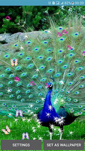 Як виглядають живі шпалери Peacocks.