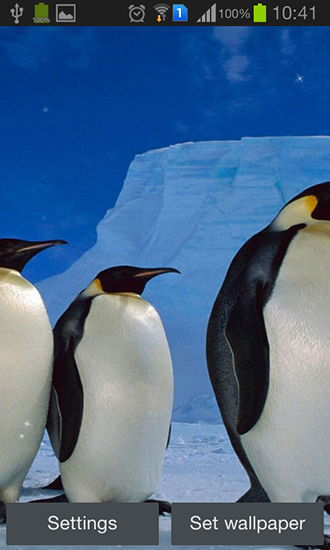 Fondos de pantalla animados a Penguin para Android. Descarga gratuita fondos de pantalla animados Pingüino.