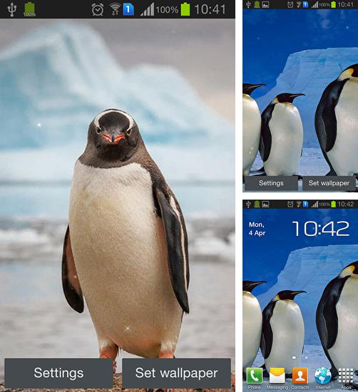 Дополнительно к живым обоям на Андроид телефоны и планшеты Зимние водопады, вы можете также бесплатно скачать заставку Penguin.