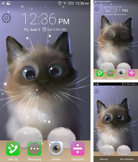 Peper the kitten - бесплатно скачать живые обои на Андроид телефон или планшет.