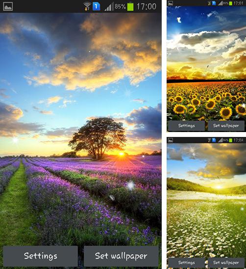 Kostenloses Android-Live Wallpaper Perfekter Sonnenuntergang. Vollversion der Android-apk-App Perfect sunset für Tablets und Telefone.