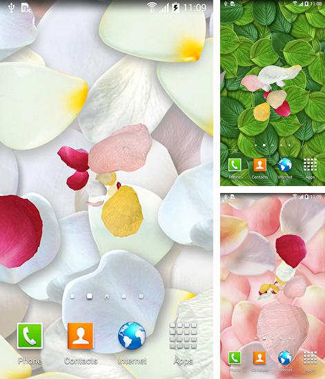 Kostenloses Android-Live Wallpaper Blütenblätter 3D. Vollversion der Android-apk-App Petals 3D by Blackbird wallpapers für Tablets und Telefone.