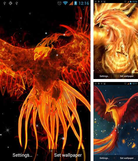 Download live wallpaper Phoenix for Android. Get full version of Android apk livewallpaper Phoenix for tablet and phone.