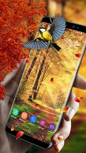 Picturesque nature für Android spielen. Live Wallpaper Picturesquare Natur kostenloser Download.