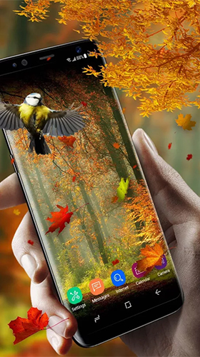 Écrans de Picturesque nature pour tablette et téléphone Android.