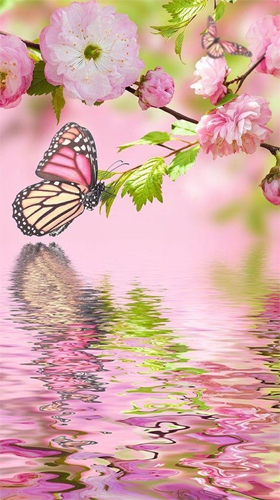 Pink butterfly by Live Wallpaper Workshop
