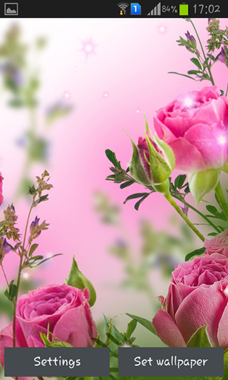 Kostenloses Android-Live Wallpaper Pinke Blumen. Vollversion der Android-apk-App Pink flowers für Tablets und Telefone.