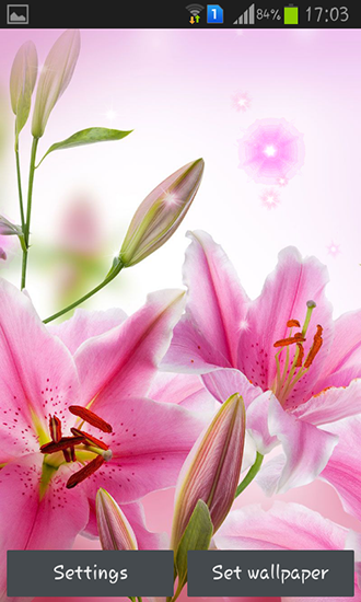 Screenshots do Flores cor de rosa para tablet e celular Android.