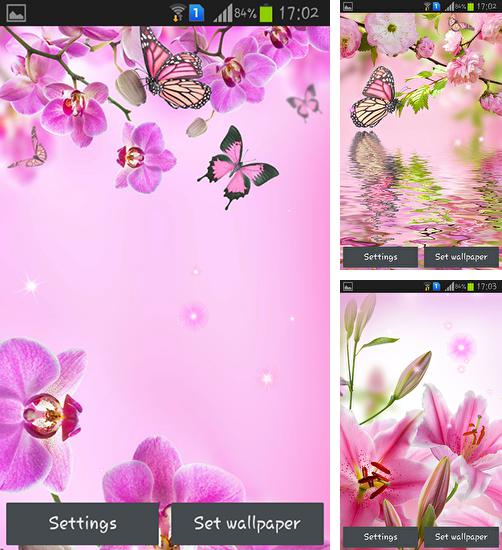 Kostenloses Android-Live Wallpaper Pinke Blumen. Vollversion der Android-apk-App Pink flowers für Tablets und Telefone.
