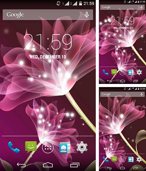 Дополнительно к живым обоям на Андроид телефоны и планшеты Волк, вы можете также бесплатно скачать заставку Pink lotus.