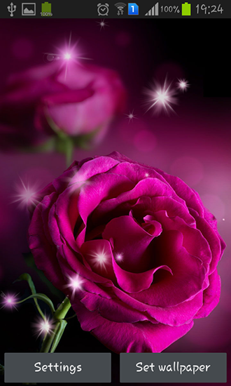 免费下载安卓版。获取平板和手机完整版安卓 apk app Pink roses。