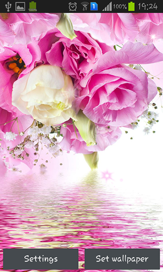 Screenshots of the Pink roses for Android tablet, phone.