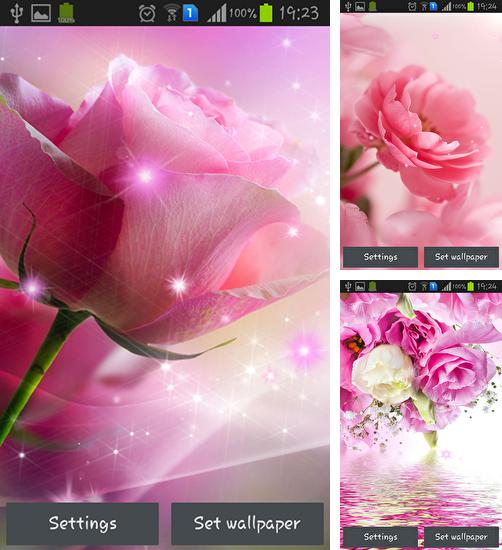 Дополнительно к живым обоям на Андроид телефоны и планшеты Сказочный Лес, вы можете также бесплатно скачать заставку Pink roses.