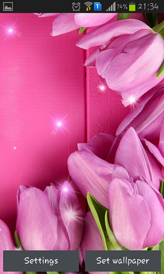Télécharger le fond d'écran animé gratuit Tulipes roses . Obtenir la version complète app apk Android Pink tulips pour tablette et téléphone.