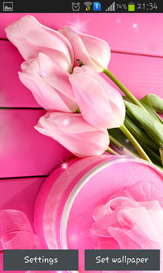 Скріншот Pink tulips. Скачати живі шпалери на Андроїд планшети і телефони.