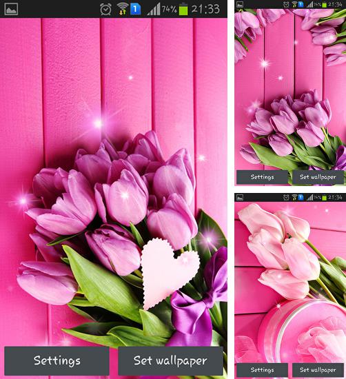 Pink tulips - бесплатно скачать живые обои на Андроид телефон или планшет.