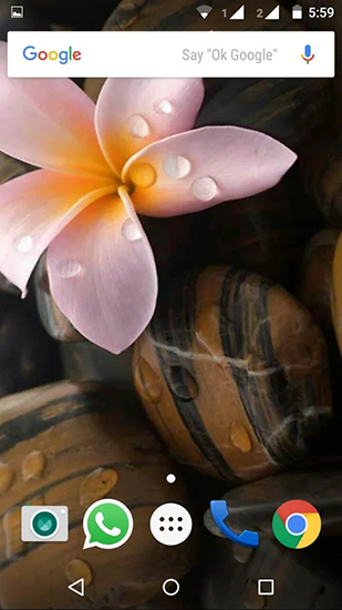 Kostenloses Android-Live Wallpaper Plumeria. Vollversion der Android-apk-App Plumeria für Tablets und Telefone.