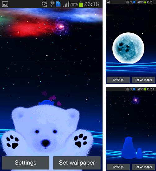 Kostenloses Android-Live Wallpaper Polarbärliebe. Vollversion der Android-apk-App Polar bear love für Tablets und Telefone.