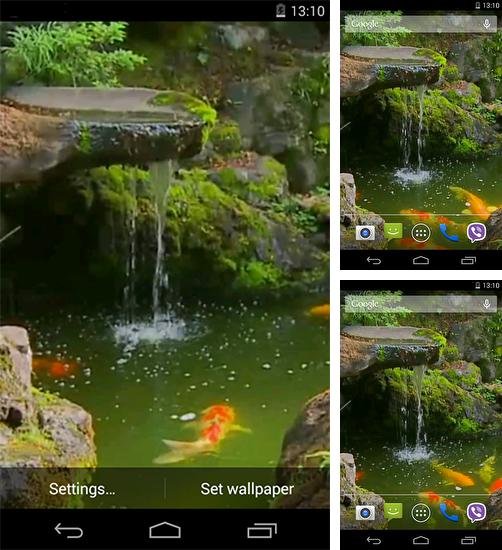 Kostenloses Android-Live Wallpaper Weiher mit Koi. Vollversion der Android-apk-App Pond with Koi für Tablets und Telefone.