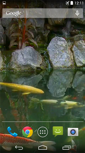 Screenshots of the Pond with koi by Karaso for Android tablet, phone.