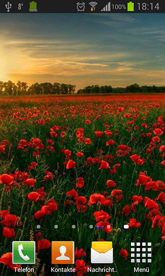 Download Poppies - livewallpaper for Android. Poppies apk - free download.